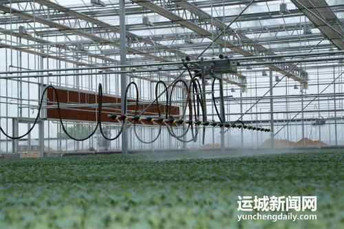 夏縣積極籌備第七屆中國山西特色農產品交易博覽會，夯實初級農產品營銷基礎