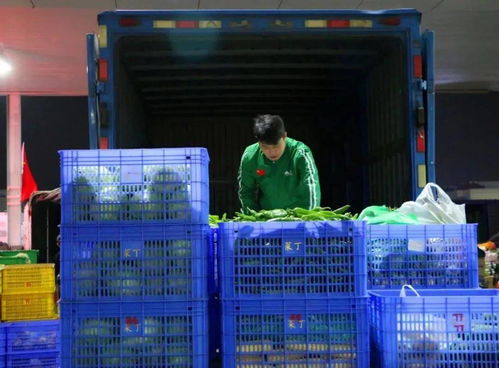 菜丁樂昌農產品交易中心 大型農副產品批發市場火爆招商，助力初級農產品流通