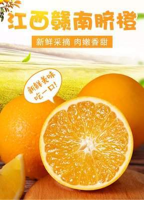 加速推進韶關農業品牌化 粵港澳大灣區菜籃子韶關配送中心的實踐路徑