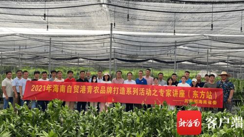 初探農(nóng)產(chǎn)品 從田間地頭到餐桌的綠色之源